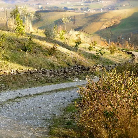 Taverna Centomani Potenza