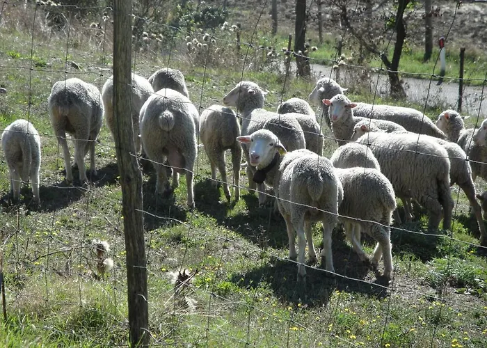 Taverna Centomani Potenza
